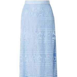 Miguelina Baby Blue Lace Skirt